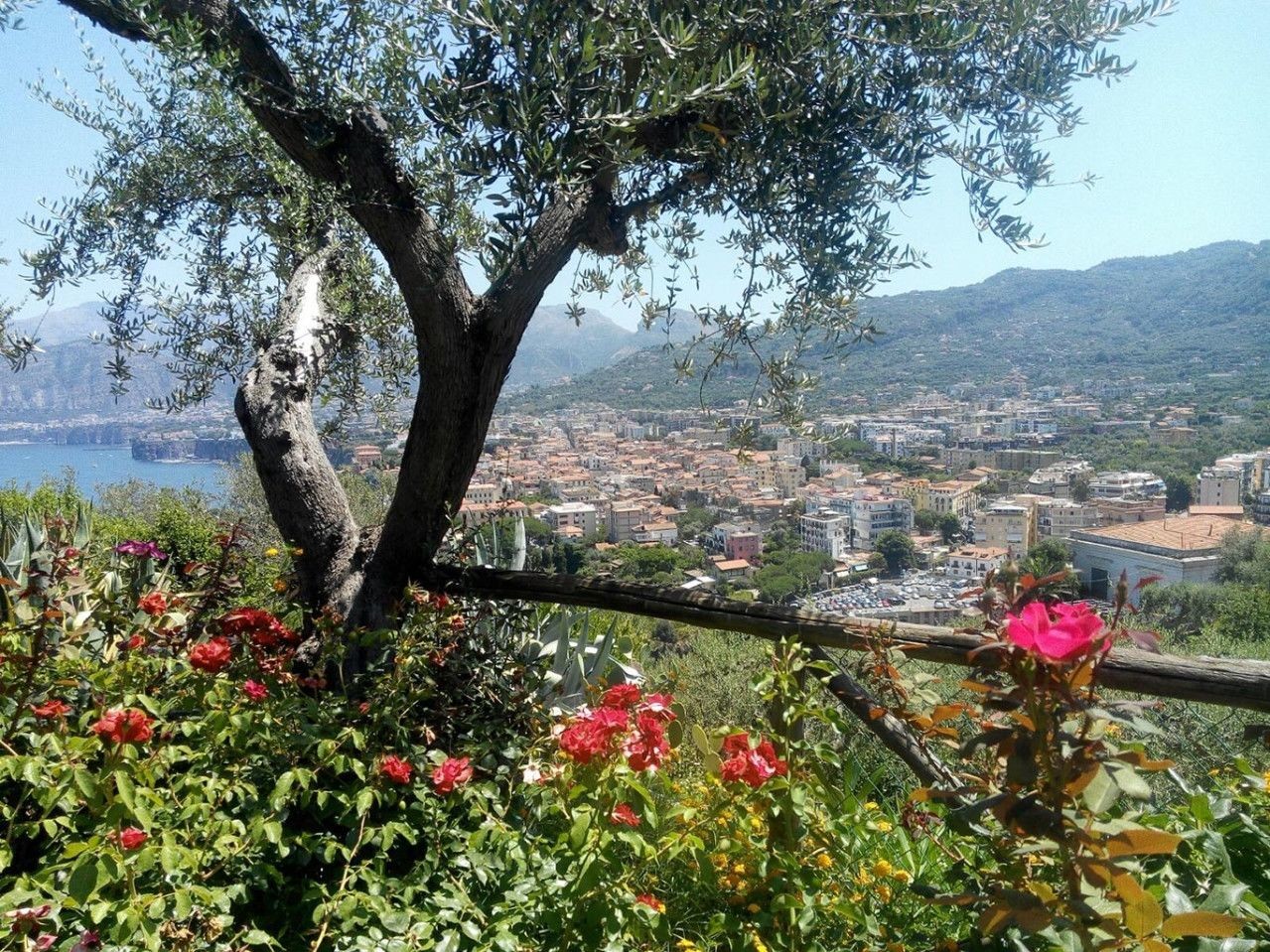 Hotel Bristol Sorrento